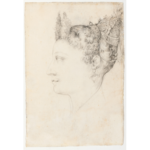 The Head of a Woman with an Elaborate Hairstyle in Profile
